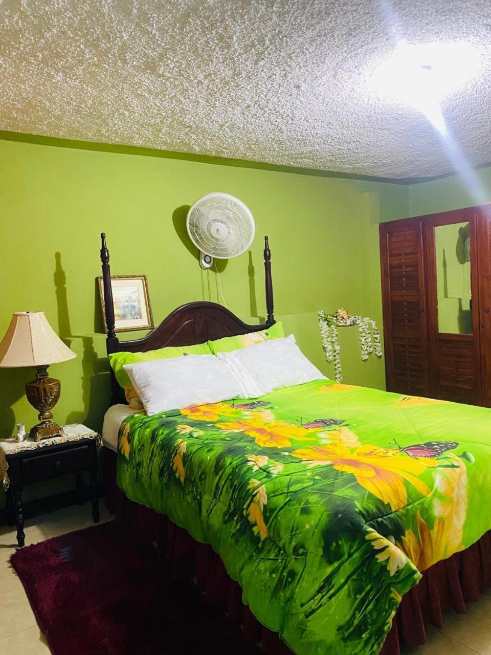 Cindy'S Garden Stay Ocho Rios Exterior photo